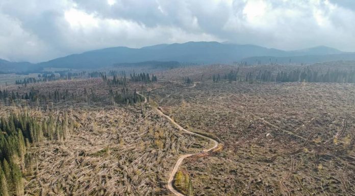 2 ANNI DA VAIA, L’EVENTO METEO PIU’ DISASTROSO DEGLI ULTIMI ANNI