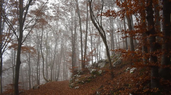 PREVISIONI PER VENERDI’ 12 NOVEMBRE 2021 E TENDENZA PER IL 13 E 14