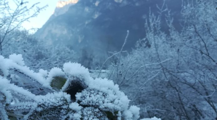 PREVISIONI PER VENERDI’ 15 GENNAIO 2021 E TENDENZA PER IL 16 E 17