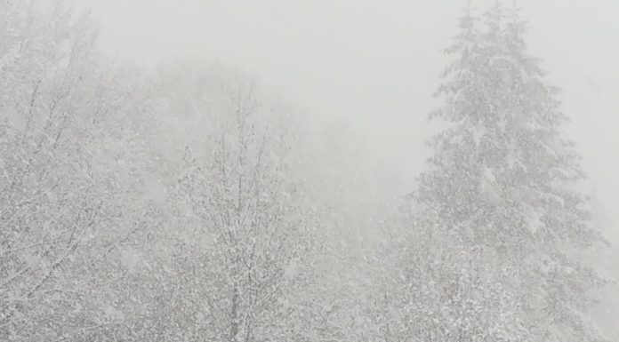 PREVISIONI PER DOMENICA 27 DICEMBRE 2020 E TENDENZA PER IL 28 E 29