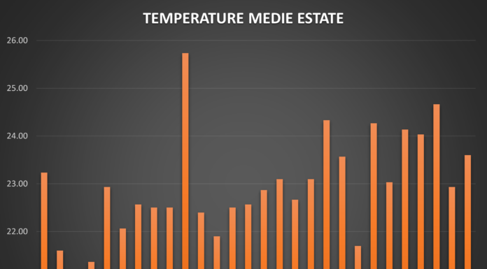 RESOCONTO ESTATE 2021: NUMERI E DATI
