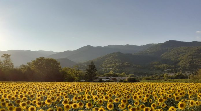 PREVISIONI PER MARTEDI’ 7 SETTEMBRE 2021 E TENDENZA PER 8 E 9