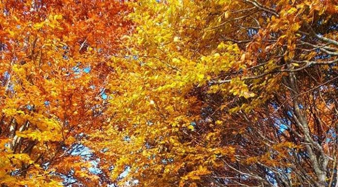 PREVISIONI PER MARTEDI’ 26 OTTOBRE 2021 E TENDENZA PER IL 27 E 28