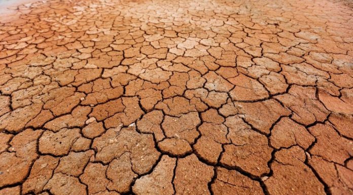 SICCITA’ SEMPRE PIU’ GRAVE, MA SI PUO’ PARLARE DI RECORD?