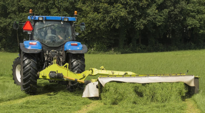 METEOFIENO: PREVISIONI PER GIOVEDI’ 29 MAGGIO E TENDENZA PER IL 30 E 31