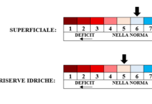 PREVISIONI PER LUNEDI’ 10 NOVEMBRE E TENDENZA PER I 3 GIORNI SUCCESSIVI